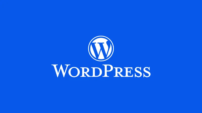 Image for Why We Don't Use WordPress For Our Websites